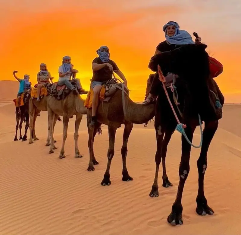 Sunset camel ride, backlit against the dunes of the Merzouga desert