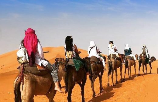 Paseo en Camello por el Desierto del Sahara